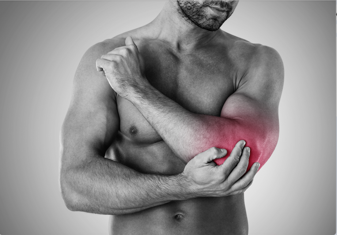 Intérêt d'une supplémentation en omega 3 à base d'huile de poisson chez le sportif blessé