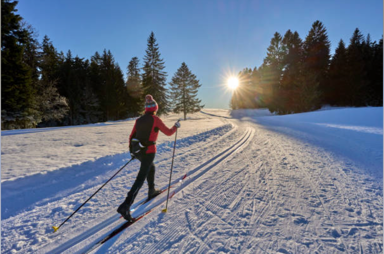 Vitamine D3 : plus qu'une vitamine, une hormone régulatrice | Anacea